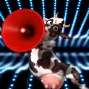 Crazy Cow