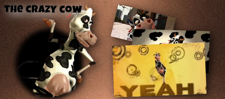 Crazy Cow